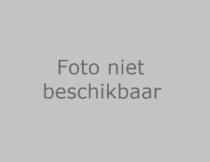 Faas, E. (Drs.)